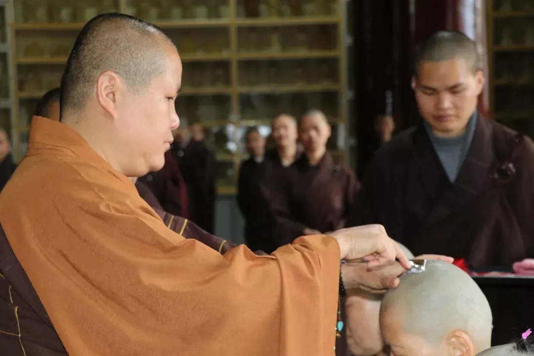 不交税触犯法律规定,不交税为啥不用坐牢