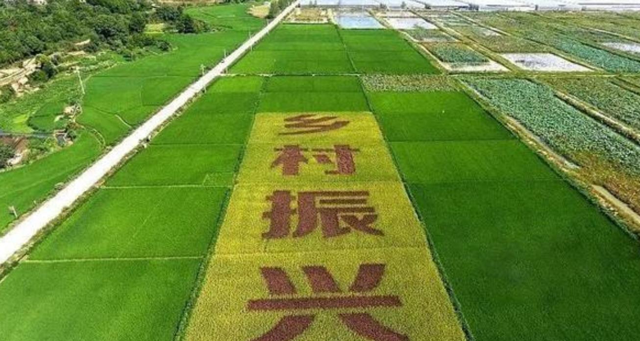 农村人口进城的弊端,农村人口流失问题怎么解决