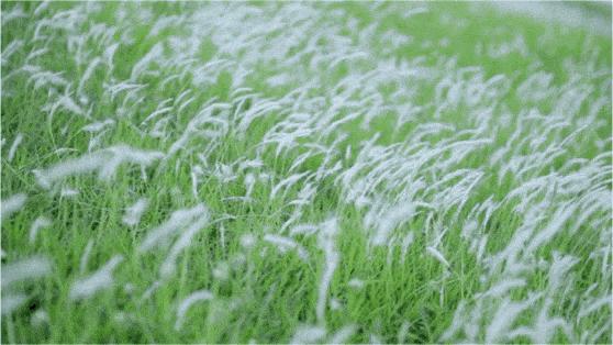 2022深圳10个小众打卡地免费游玩,深圳值得打卡的旅游地