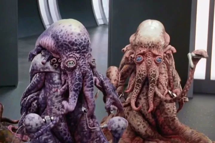 章鱼是外星生物吗,章鱼是外星生物吗完整解说