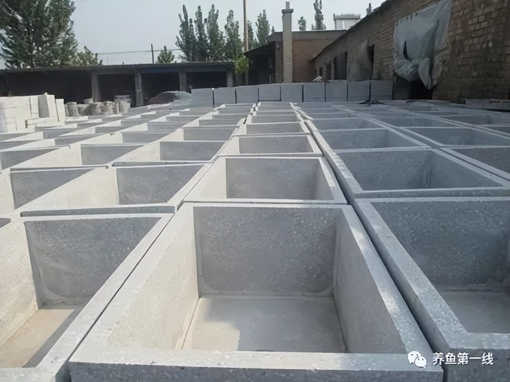 家鱼养殖如何投苗,养殖鱼技术和鱼苗