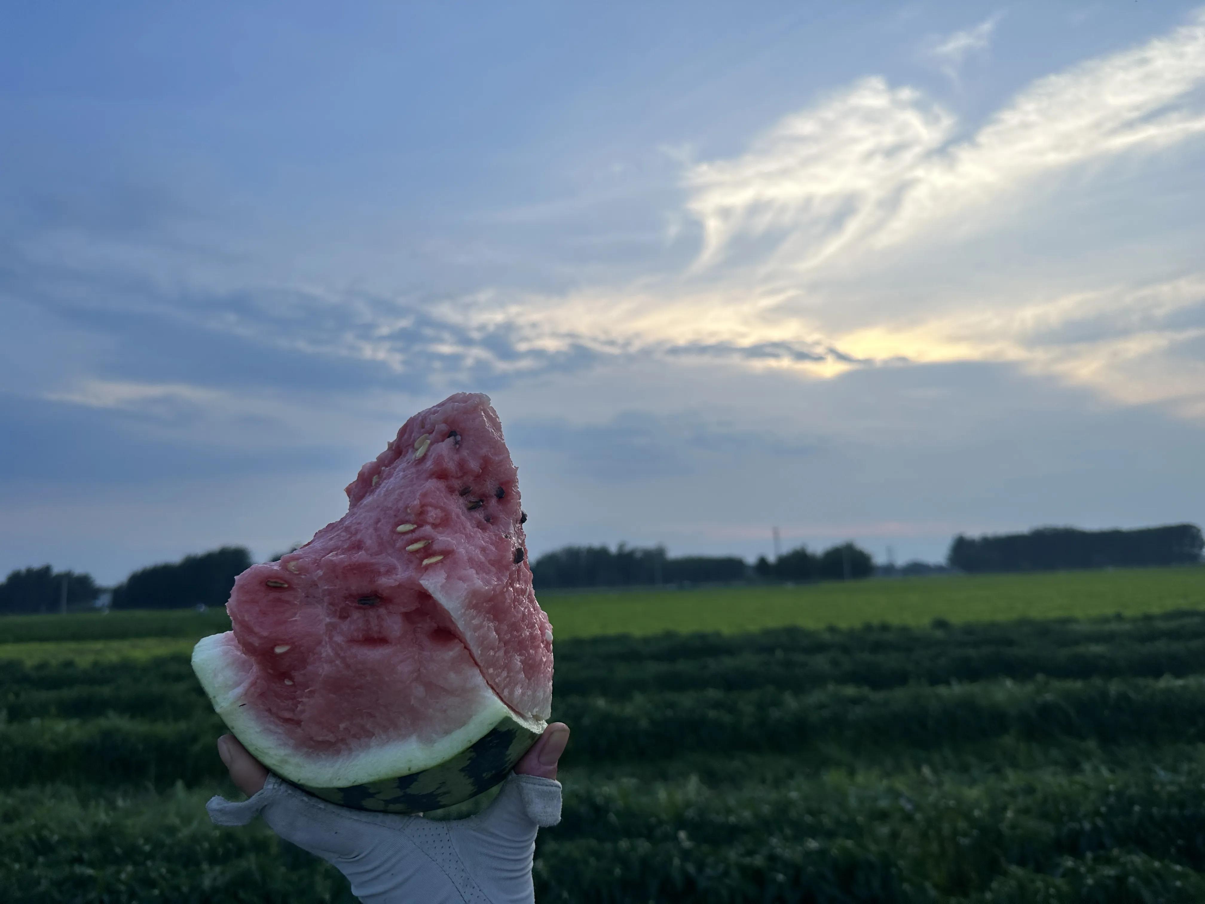 田园风光,田园风光诗词100首