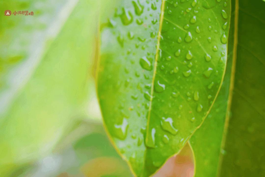 下雨天带小孩可以这样玩,下雨天可以带孩子去哪玩