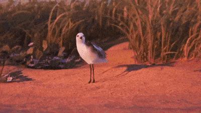 中美学生大比拼,中美三国大比拼