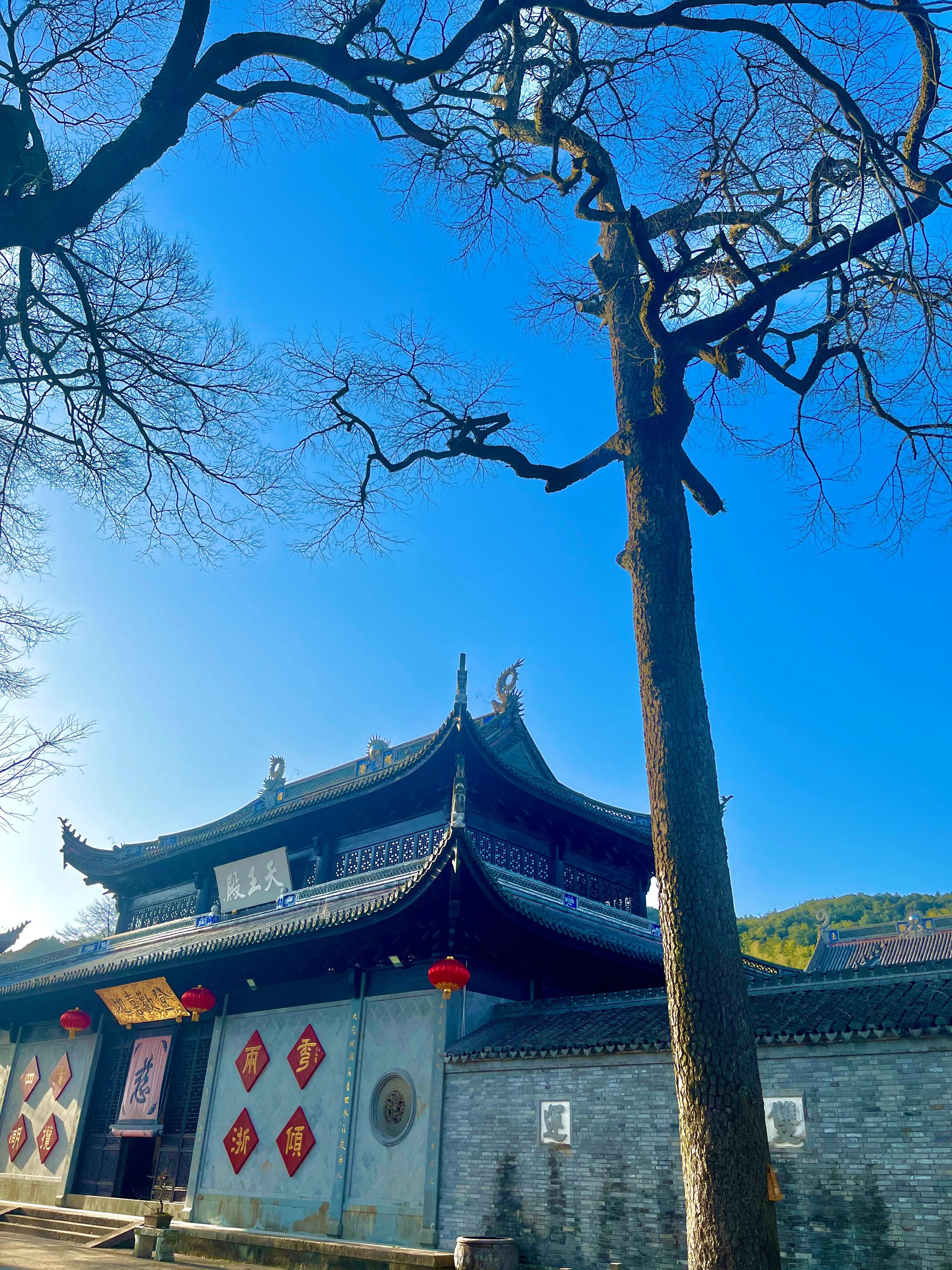 慈溪五磊寺简介,慈溪五磊寺风景区