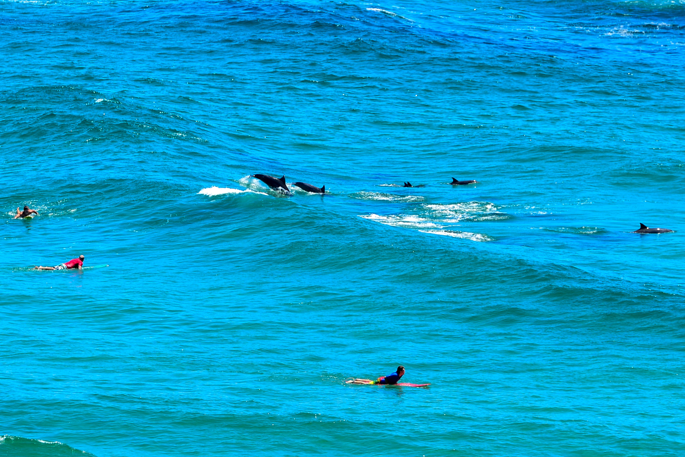 澳洲黄金海岸纪录片,澳洲黄金海岸游玩体验