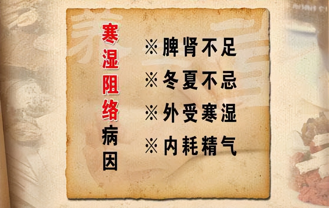 肩背部酸困中药调理,腰疼腿疼肩膀痛特效中药