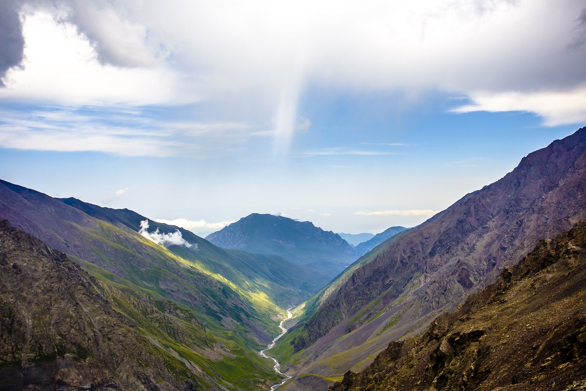 一个月高加索什么样子,黄色高加索什么样子