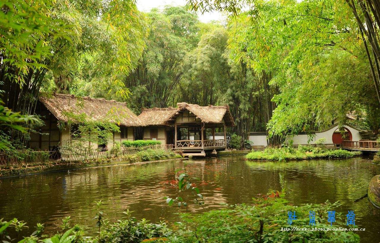 杜甫坎坷的一生,杜甫一生坎坷的诗句