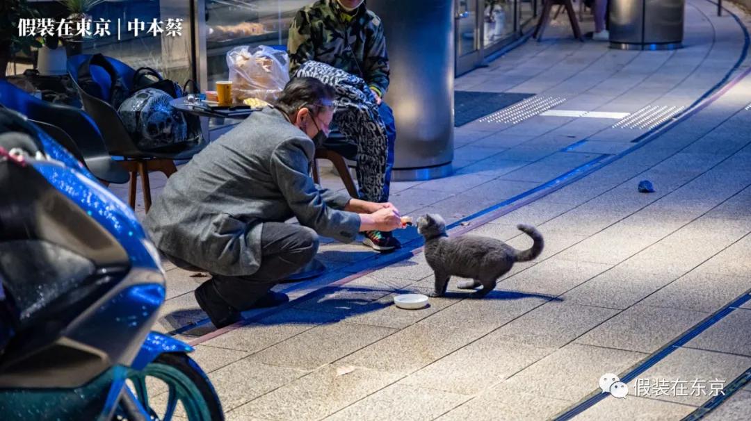 365张照片回顾,365张相片