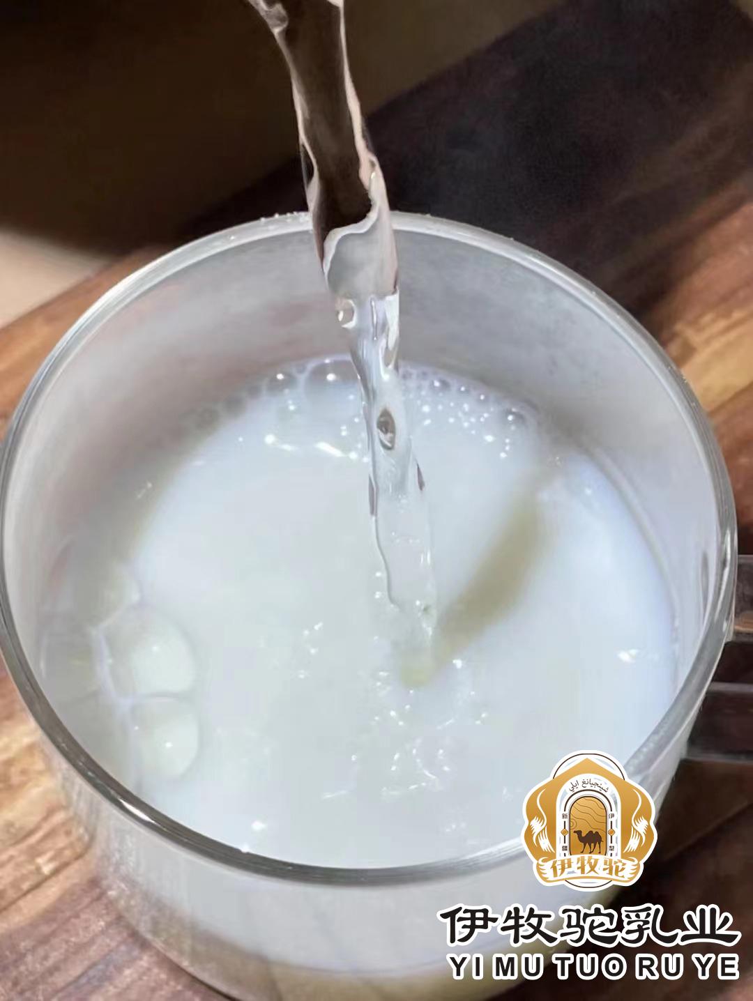 伊牧驼——新鲜驼乳的搬运工