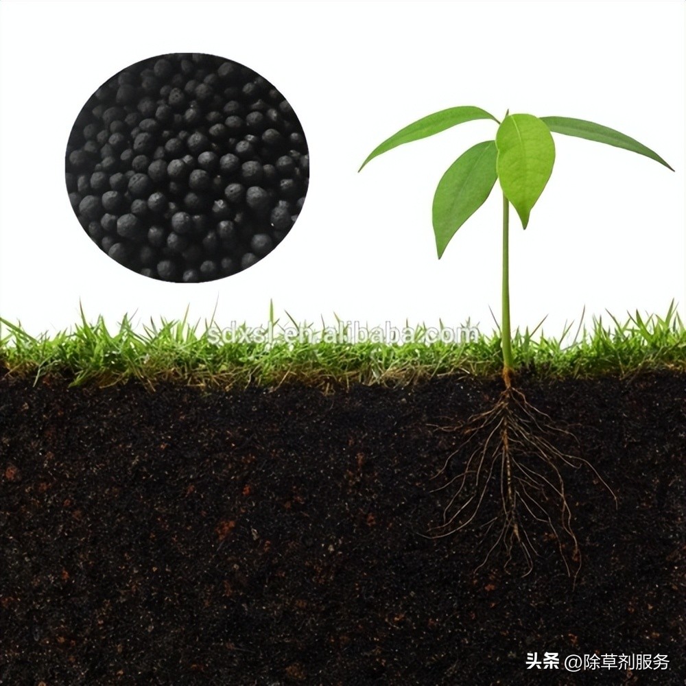 不得不知的知识大全,不得不知的知识