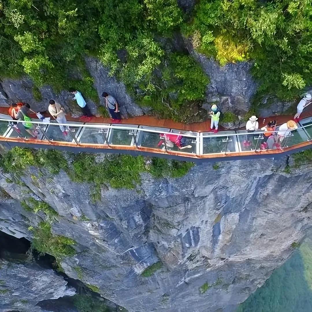 天门山三男一女跳崖事件,天门山跳崖的4人