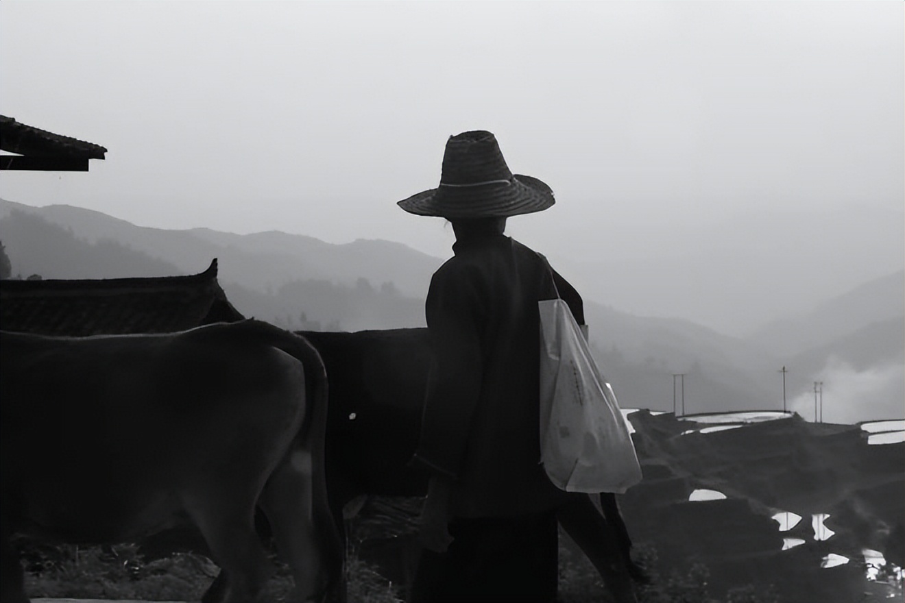 鏅嬫睙绉佷汉鏃呮父璺熸媿,鏃呮父璺熸媿鍏嶈垂