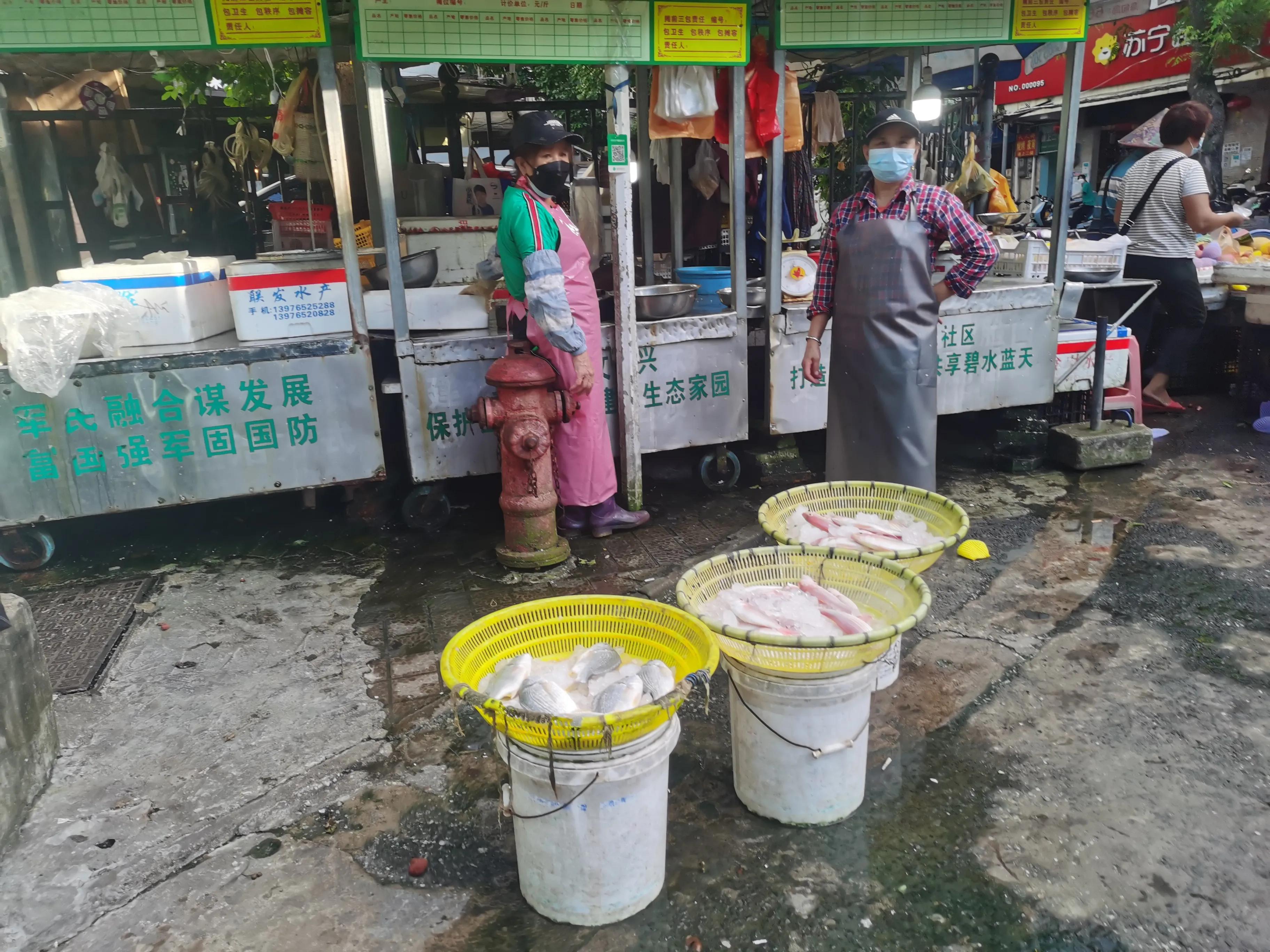 疫情下的大连湾渔港,海甸岛最新疫情报告