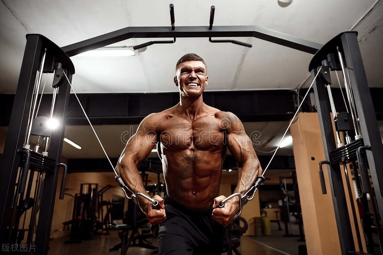 新手健身入门攻略计划,新手健身入门攻略计划书