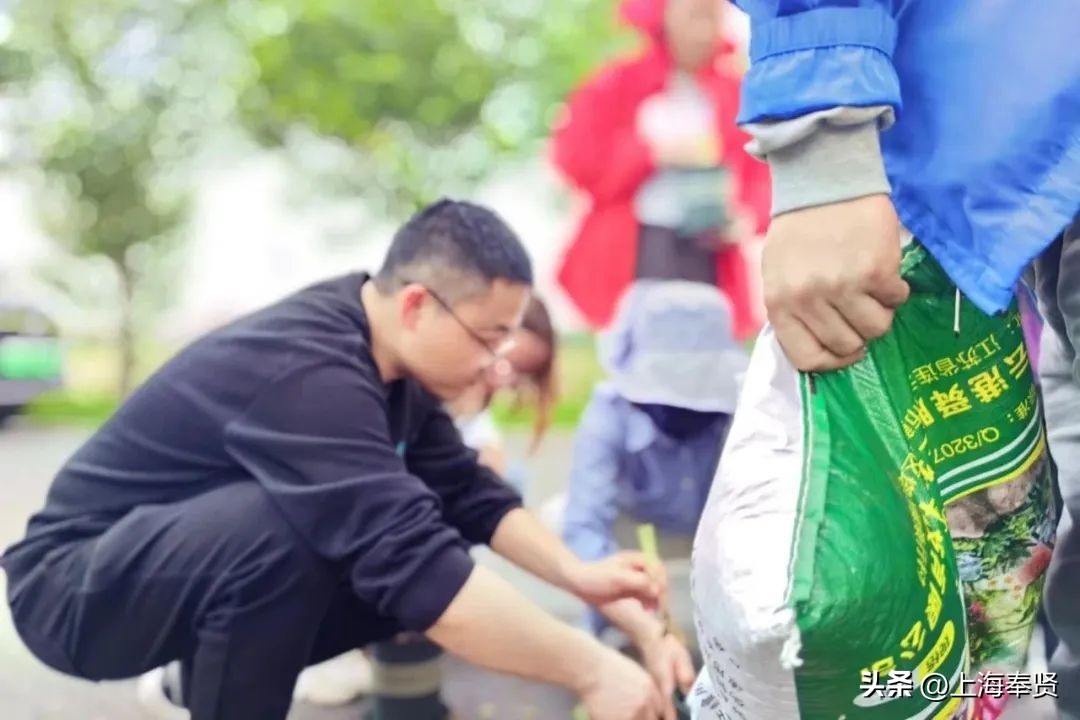 春归入夏，在萱草花盛开的日子里，致敬最美的妈妈！
