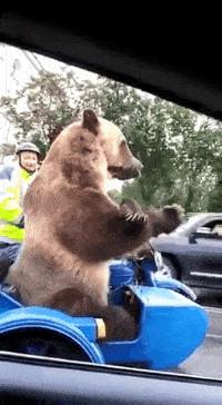 想穿这样的衣服还怕别人看见吗,穿这样的衣服出门真的不尴尬吗