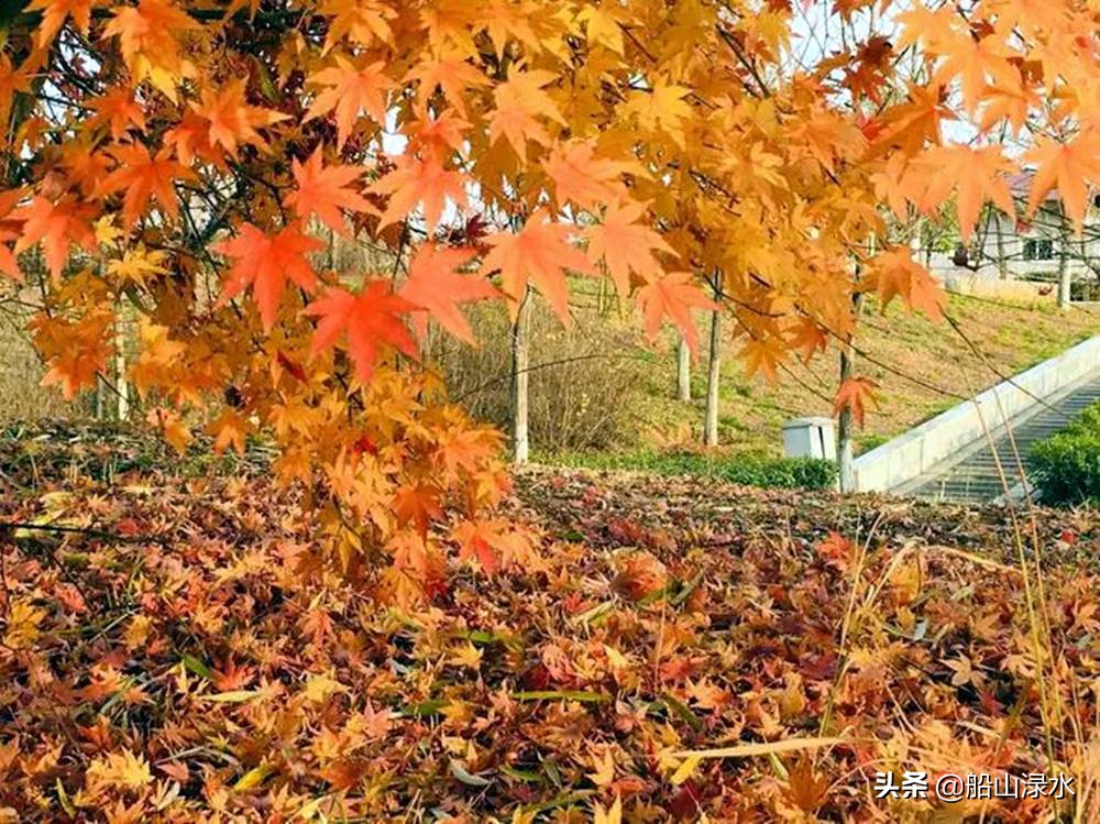 为老年朋友创作的新歌：夕阳映照红霞飞