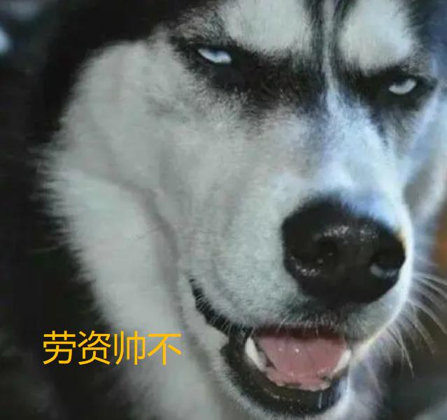 甲方爸爸有多难,如何做一个合适的甲方爸爸