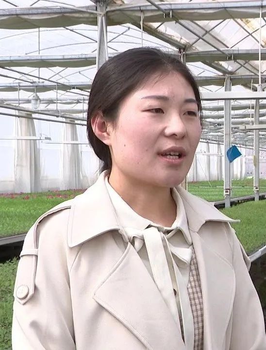 白银市现代高效循环农业示范园,白银市高效设施农业建设项目