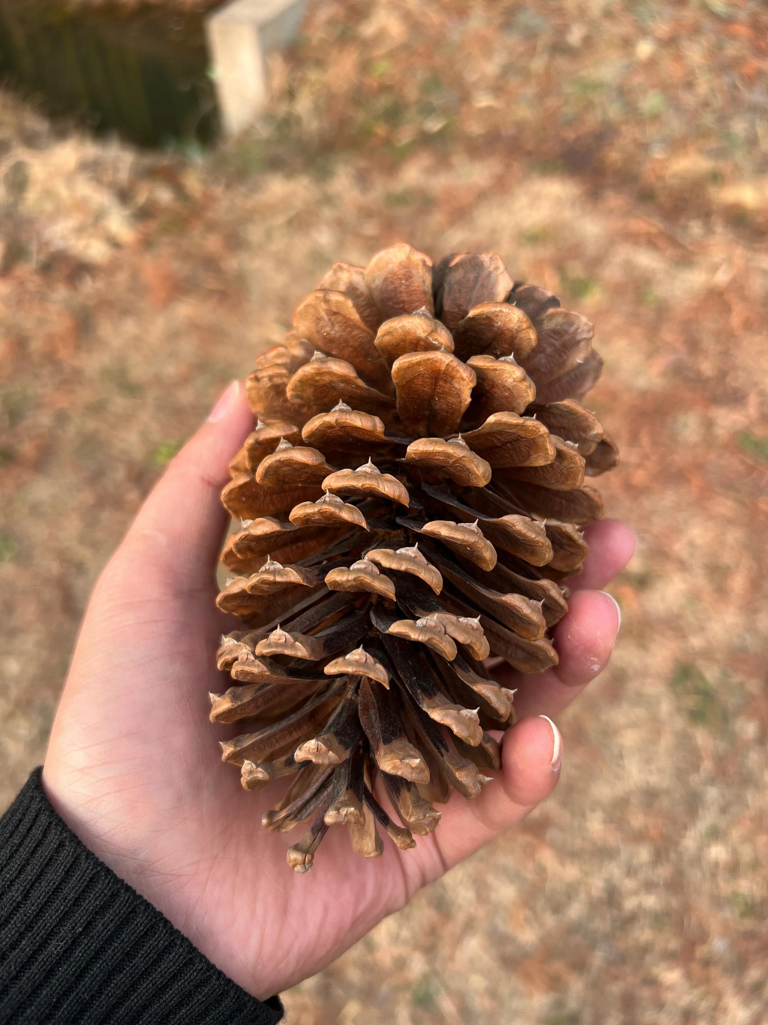 金华出发皖南318川藏线二日游,皖南川藏线318几月份去比较好