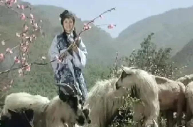 不系舟作者作品全集,不系舟抖音账号