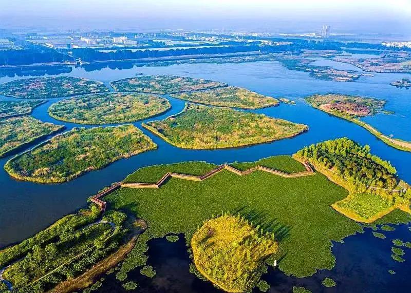 江苏百强县东海县,江苏省东海县是全国百强县吗