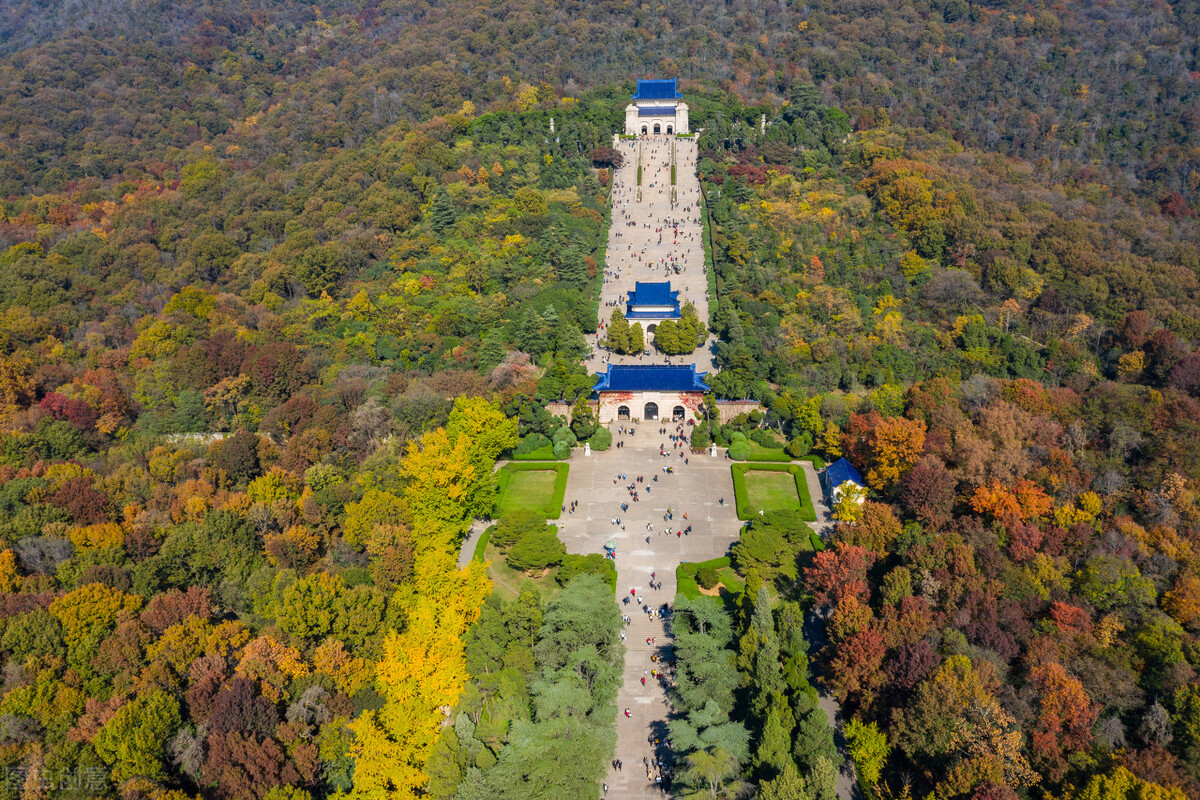 上海至重庆游轮哪个最好,重庆到上海十五天游轮价格表