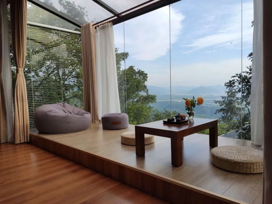 猫咪走太空步原视频最火,猫咪壁虎漫步视频