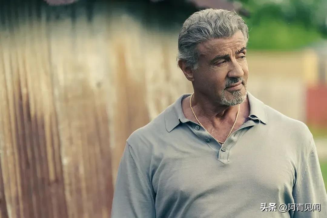 一周热播榜,一周内热播电视剧