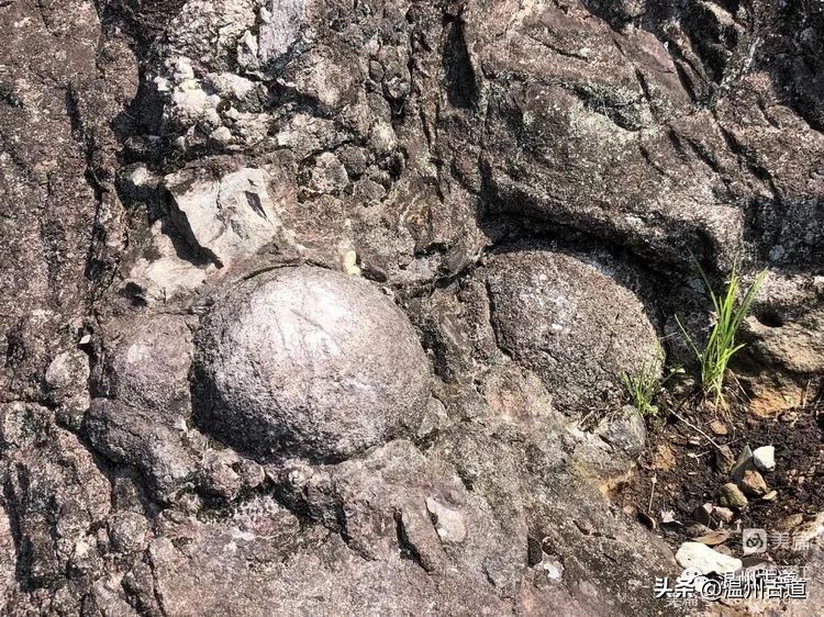 雁荡山的七大景区,雁荡山八大景区哪个更值得去