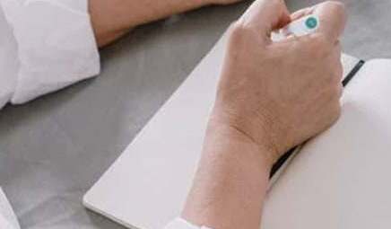 600字（通用10篇）：男主人最疼爱的小胖墩