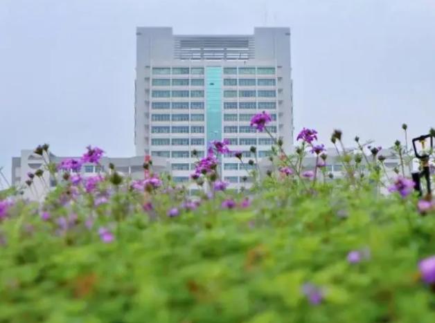 你所不知道的中国重点大学,你不知道的大学综合实力