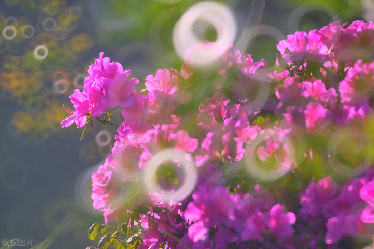 男人删除女人微信还能挽回吗,男朋友把我删除了还能挽回吗