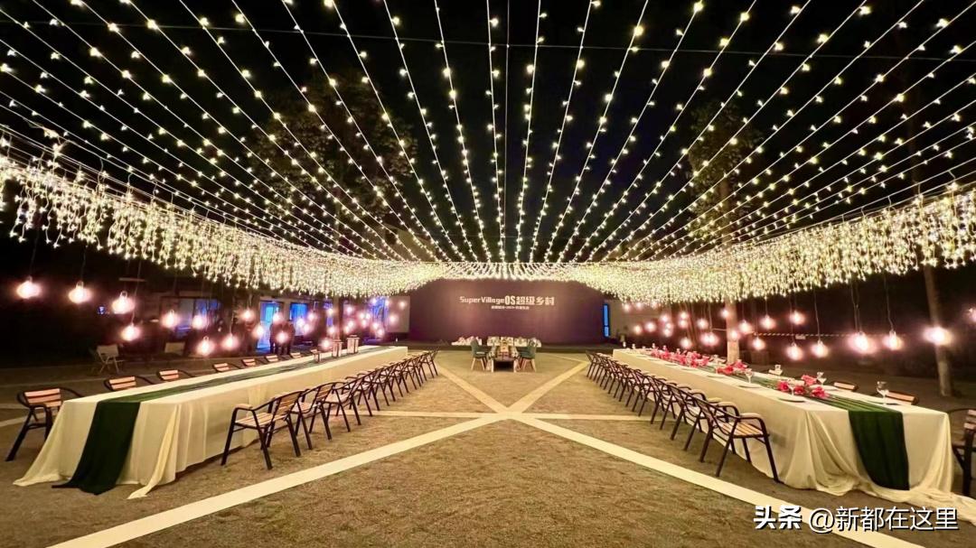 高质量发展新质生产力,高质量发展的高标准高起点