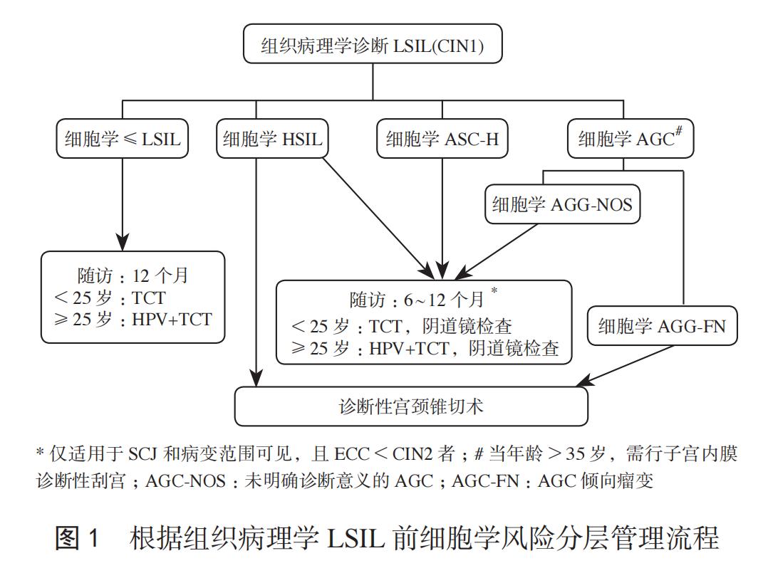 子宫颈鳞状上皮内病变诊断方法,子宫低级别鳞状上皮内病变治疗