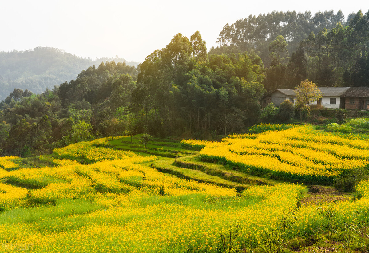 左髌骨工伤骨折赔偿价格表2021,髌骨骨折工伤大概能赔多少钱