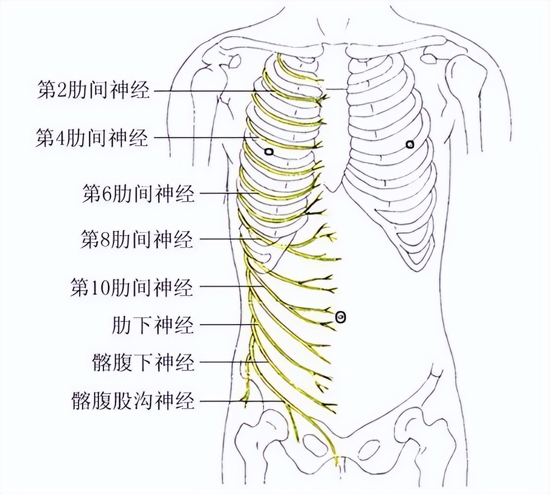 带状疱疹疫苗1401多少钱一支,带状疱疹疫苗有必要打几针