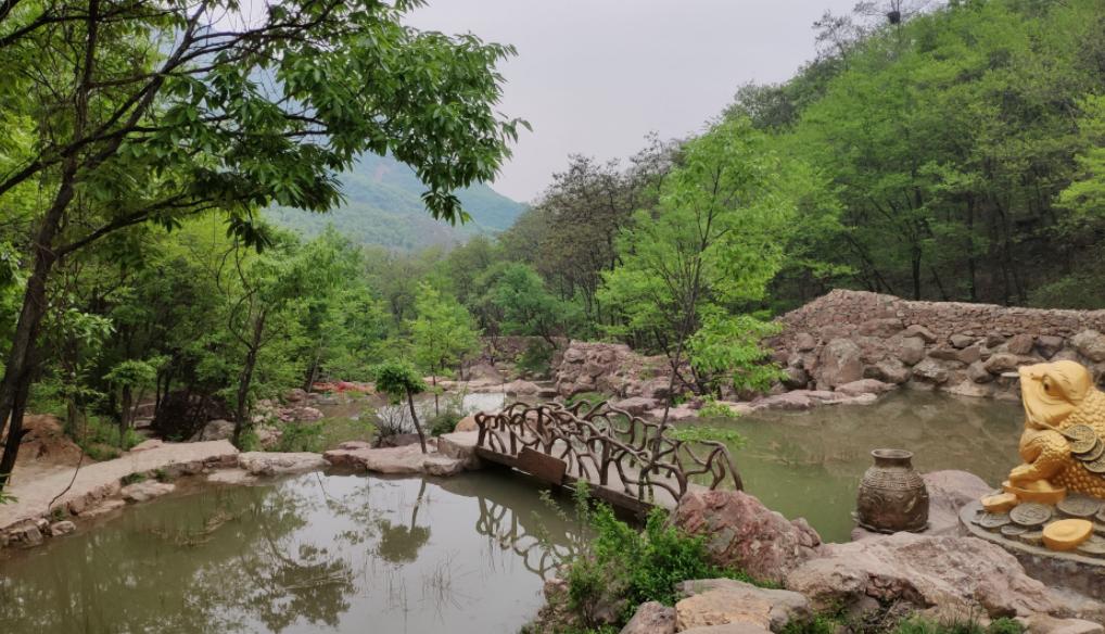 郑州旅游景区最新政策,郑州园博园买半价门票