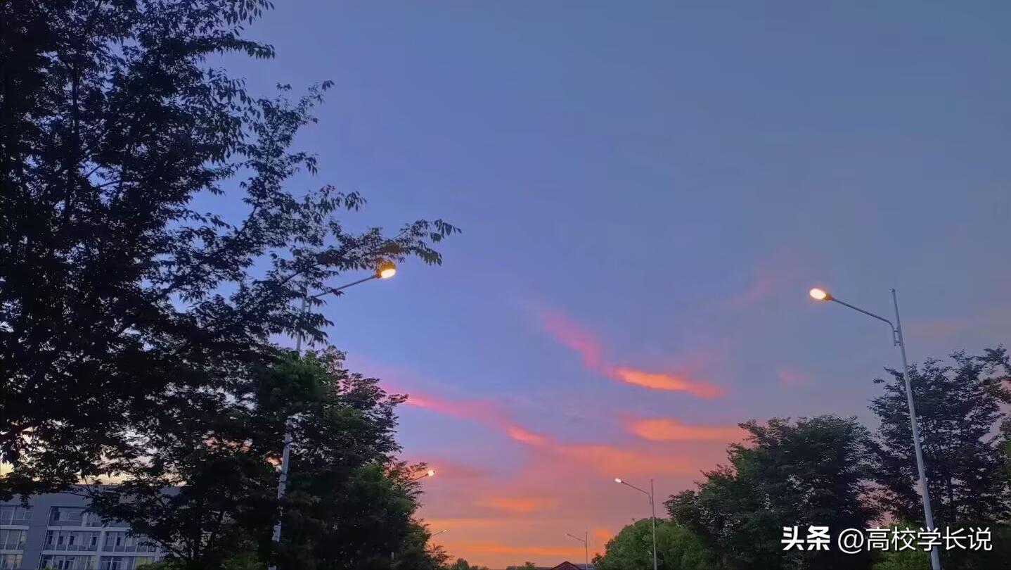 大学的班委，有必要去竞选吗？