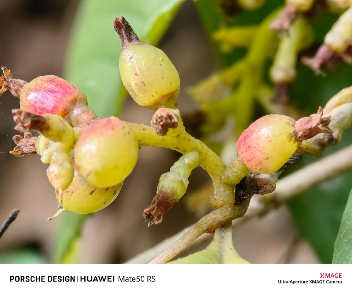 华为mate50rs保时捷还值得购买吗,华为mate50rs保时捷值得入手吗