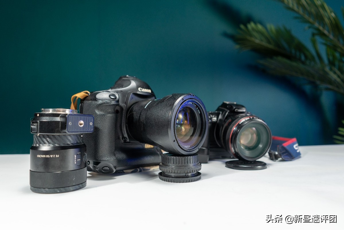 佳能ef501.8stm近摄评测,佳能ef500f4.5镜头还值得买吗