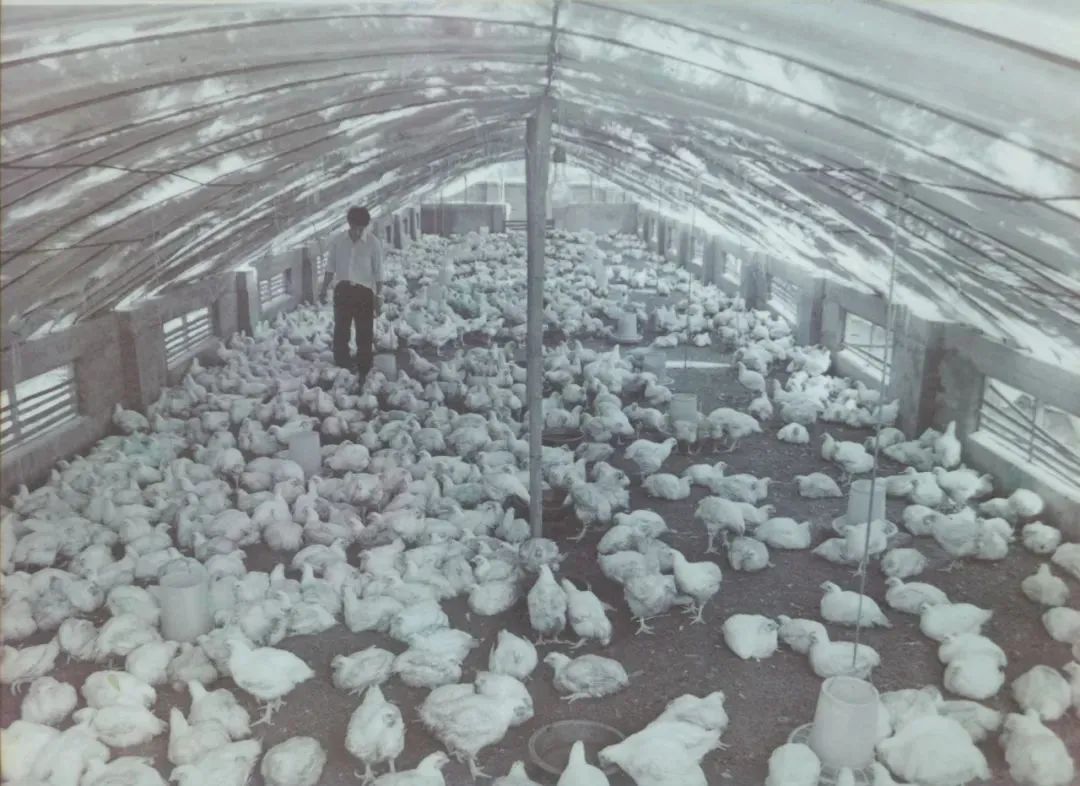 借2万创业,借2000创业