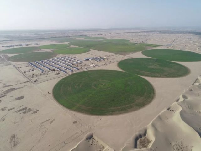 中国神奇胶水让沙漠变绿洲,中国科学家发明胶水沙子变土壤