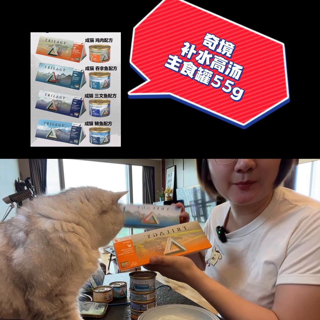 完全被低估的小众宝藏猫粮，澳洲品牌「奇境」！猫咪苦夏，...