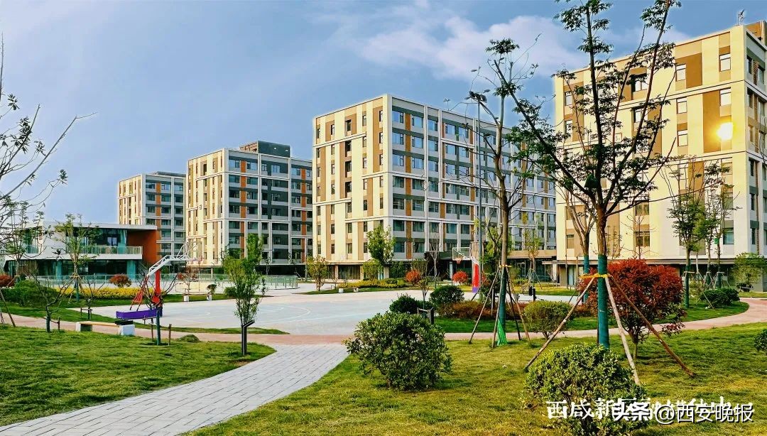 234套人民币全套在哪预定,234套人民币价格表