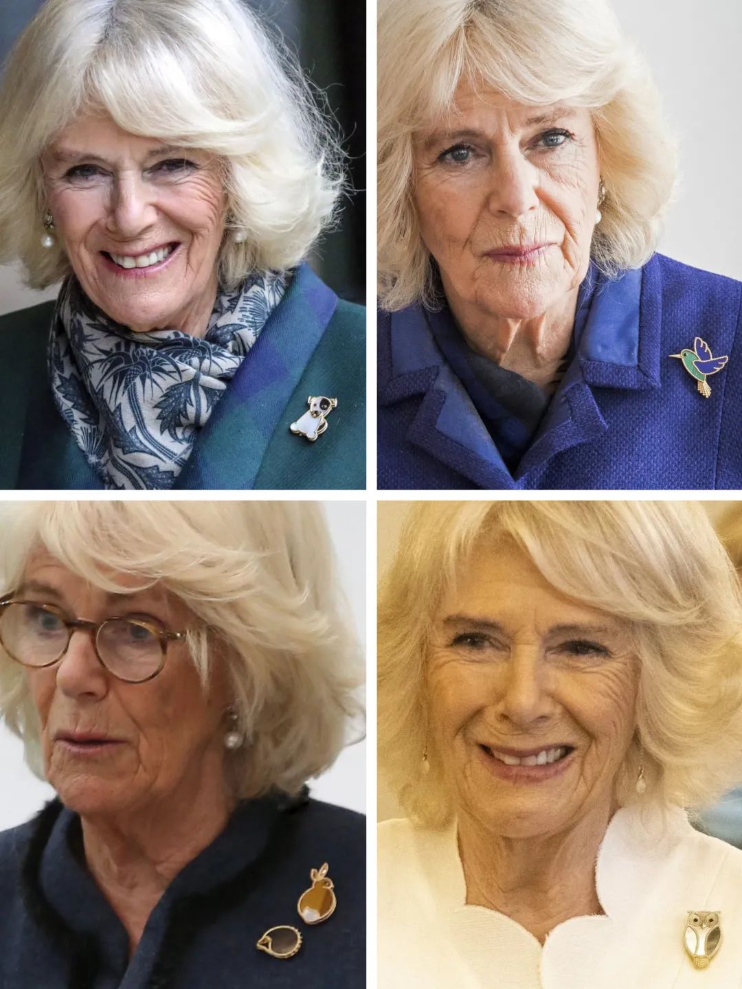 卡米拉出尽风头,卡米拉靠什么被女王认可