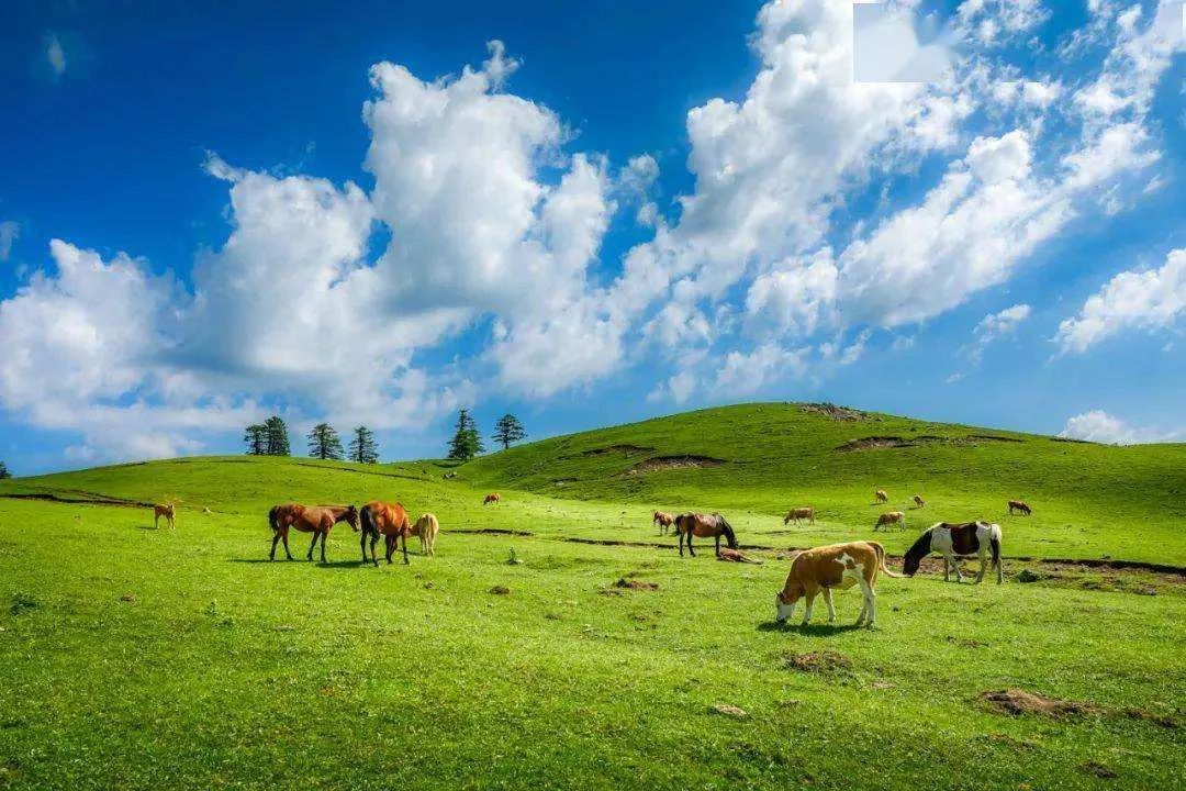 山西这个季节最适合去哪玩,山西秋天一日游的最佳景点