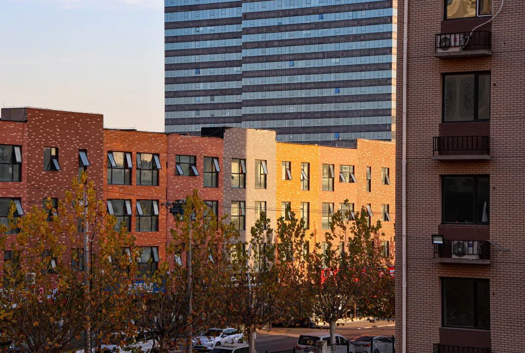 佳能eosr6markii相机镜头推荐,佳能eosr6mark2直出